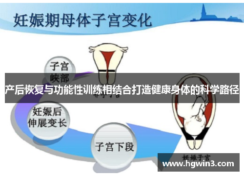 产后恢复与功能性训练相结合打造健康身体的科学路径