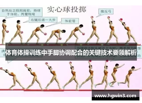 体育体操训练中手脚协调配合的关键技术要领解析